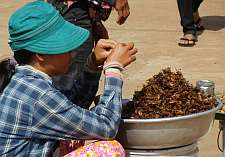 Selling fried grasshoppers