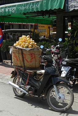 First mangoes appearing in Phnom Penh