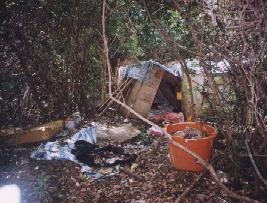 Illegal Immigrant shack in the woods