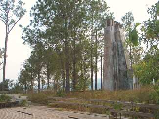 Ruins of the king's house in the park