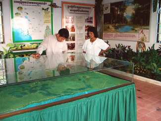 Displays at the Visitors Center