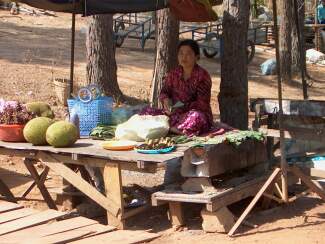 A vendor in the park