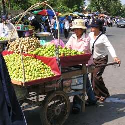 Cart full of limes and fruit