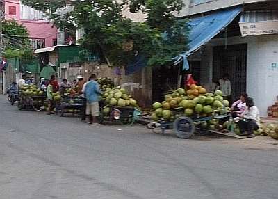 Coconut wholesaler