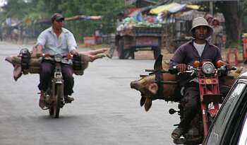 A Cambodian girl is sqeezed between a driver and a passenger of an  overloaded motorbike taxi in the capital Phnom Penh, Tuesday, April 4,  2006. Overloaded motorcycles and cars are a common