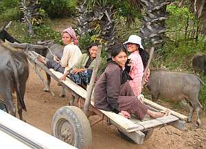 Five women on a buffalo cart