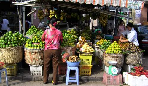 Setting up the fruit market in the morning