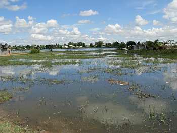 Cambodian boeung or lake