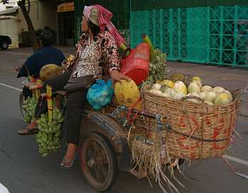 Vegetables on the way to market
