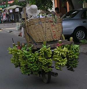 Motorcyle loaded with bananas