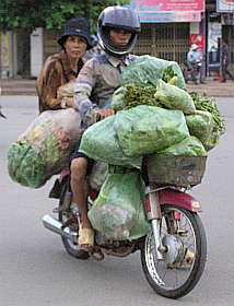 Load of vegetables