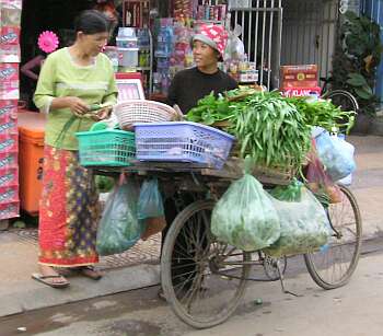 Vegetables for sale