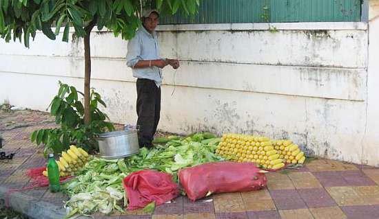 Selling corn on the street