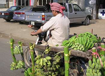Motorcycle with bananas