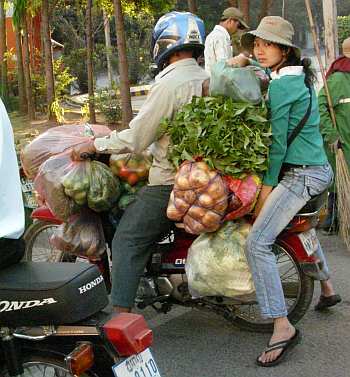A load of vegetables