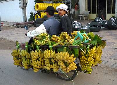 A load of bananas