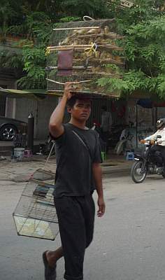 Man with cage full of birds