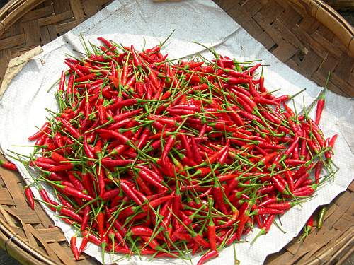 Chili peppers