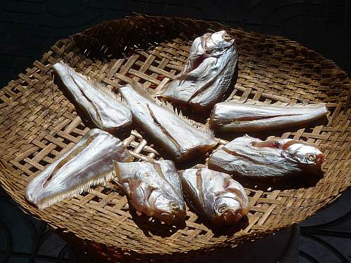 Fish drying in the sun