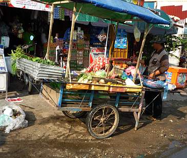 Mobile market cart