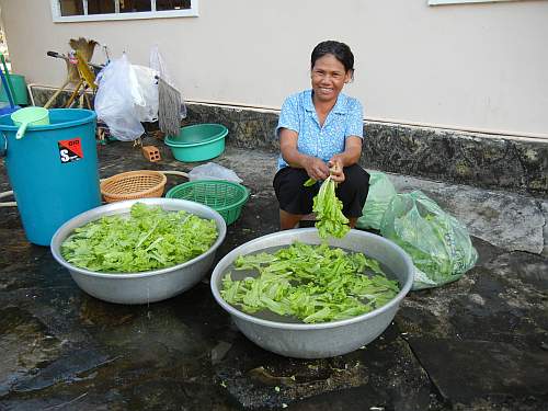 Preparing salad for lunch