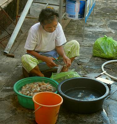 Preparing shrimp for lunch