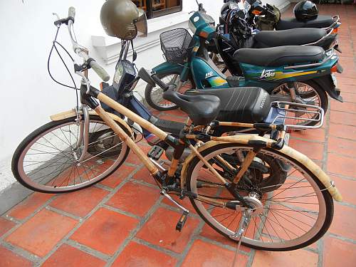 Bamboo bicycle