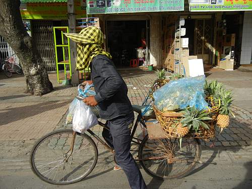 Pineapple vendor