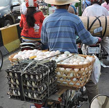 Eggs in a basket