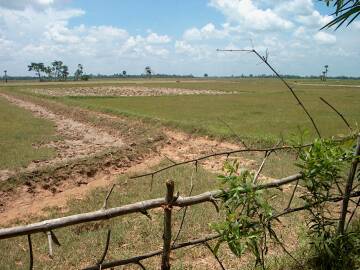 Farm land in Svay Rieng