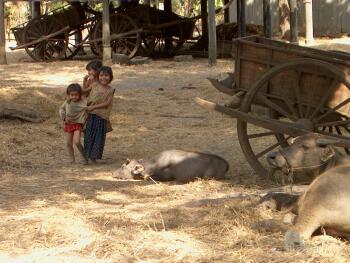 Village setting in rural Kampong Cham