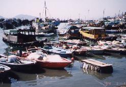 Fishing boats in Cheung Chau harbor