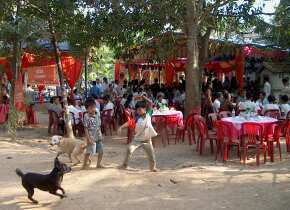 The whole reception under the trees