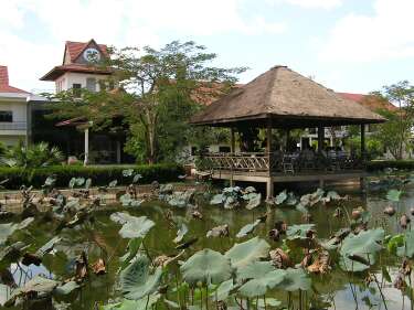 Lunch on shelter in lotus pond