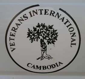 Veterans International Logo
