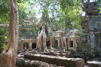 Ta Prohm temple at Angkor Wat