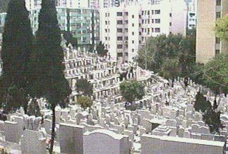 Cemetery in the city