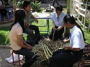 Peeling sugar cane