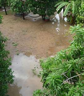 Yard flooded