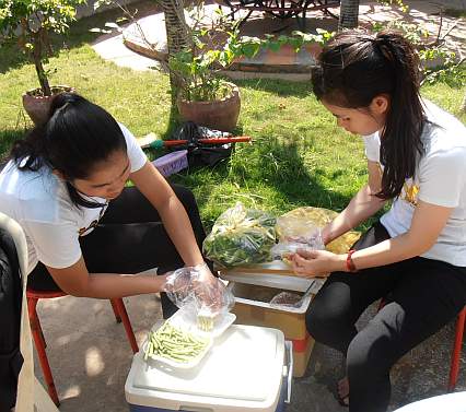 Cutting vegetables for a food stall