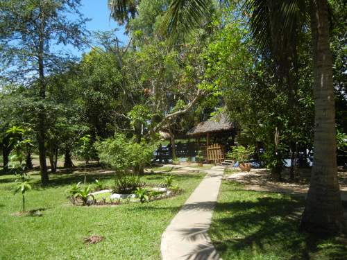 Part of the grounds