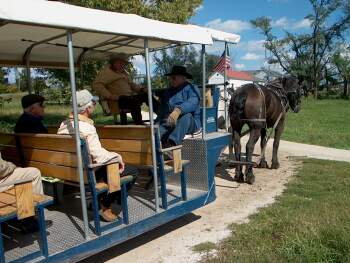 Horse-drawn tour of the Mormon town