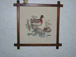 Wall sampler of a duck