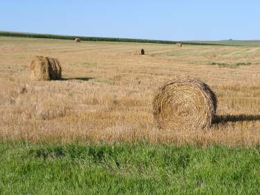 Hay bales in central Nebraska