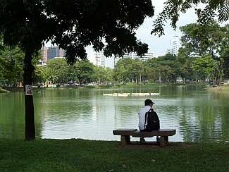 Man reflecting in the park