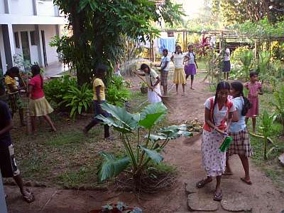 Cleaning the courtyard