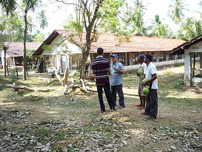 Three of the chicken sheds