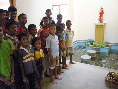 Small pool inside the hostel