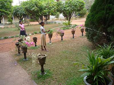 Watering the plants