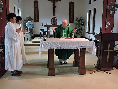 Fr.. gerry Hammond presiding at the liturgy